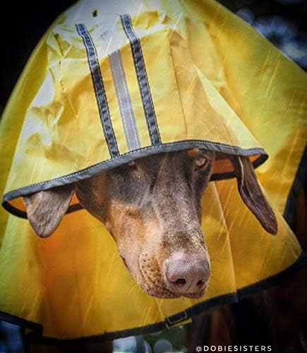 מעיל גשם של כלב חיות מחמד לאופנה לכלב X-LAGE | ז'קט גשם של כלב עם מכסה המנוע | פונצ'ו גשם כלב | פוליאסטר | הוכחת מים | צהוב עם פס רפלקטיבי אפור | ציוד גשם מושלם לחיית המחמד שלך על ידי חיית מחמד אתית